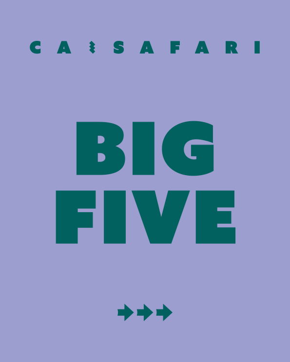 BIG FIVE