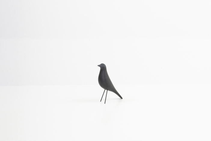 Vogel