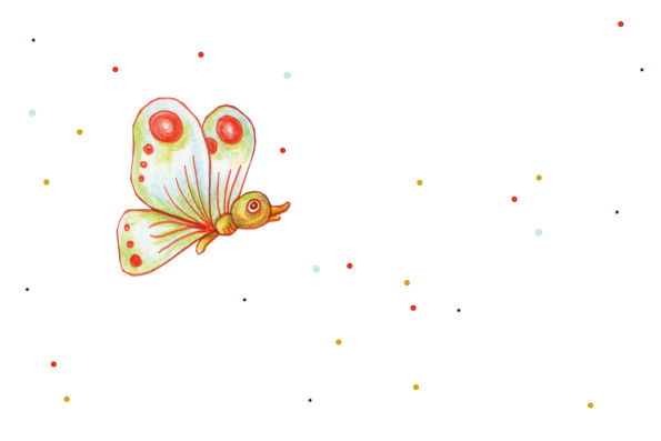 schmetterling