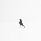 Vogel