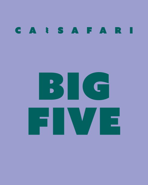 BIG FIVE