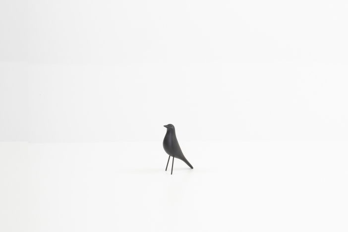 Vogel
