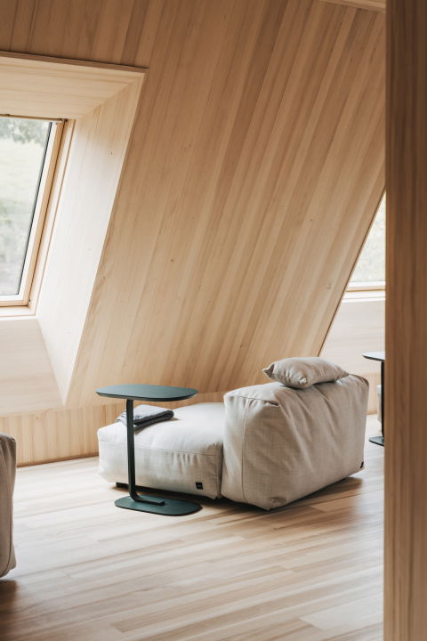 Apartments Hirschen Homes und Wellness Hotel Hirschen