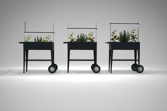 Trolley Urban Garden