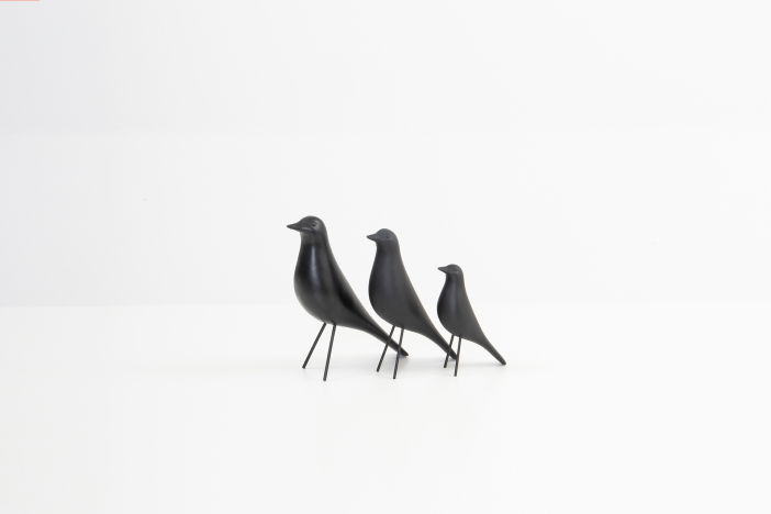 Vogel