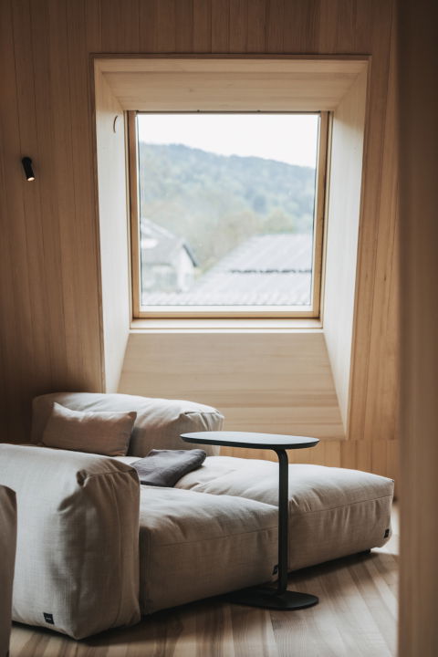 Apartments Hirschen Homes und Wellness Hotel Hirschen