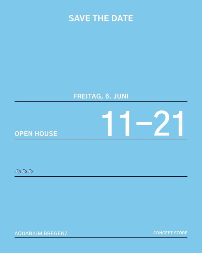 Programm Freitag