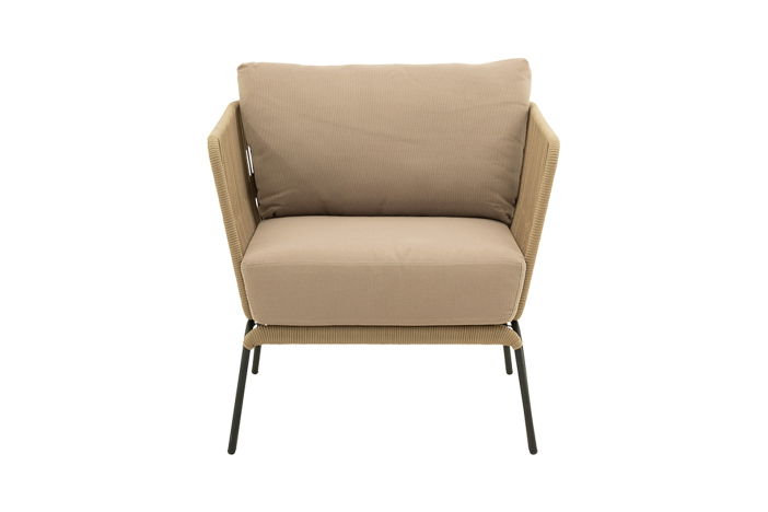 Loungeset Lion