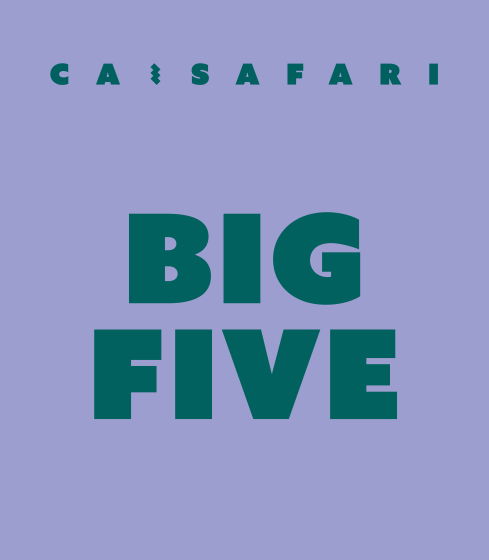 BIG FIVE